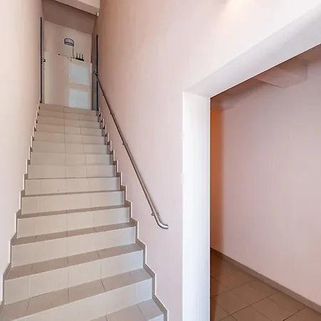 Accent By Polo * 考纳斯