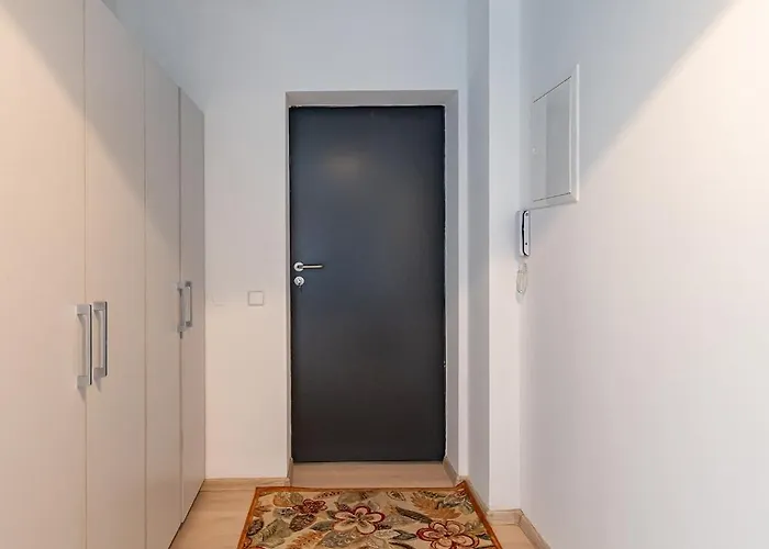 Accent By Polo * Kowno