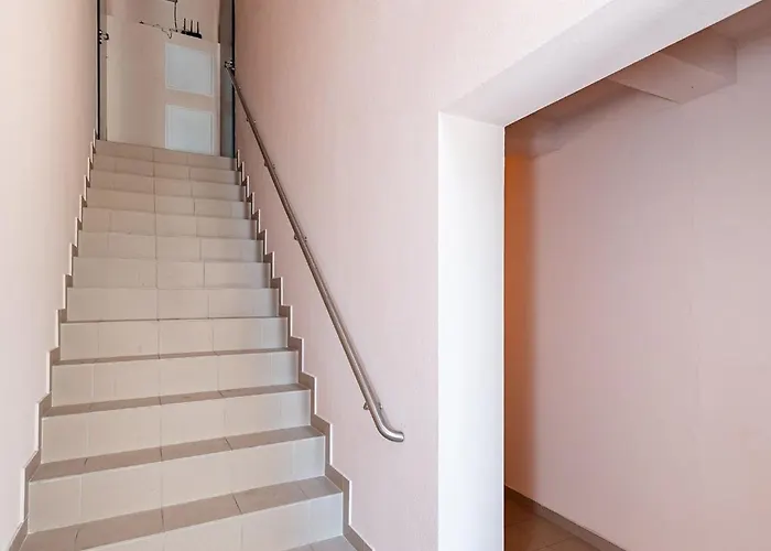 Accent By Polo * Kowno